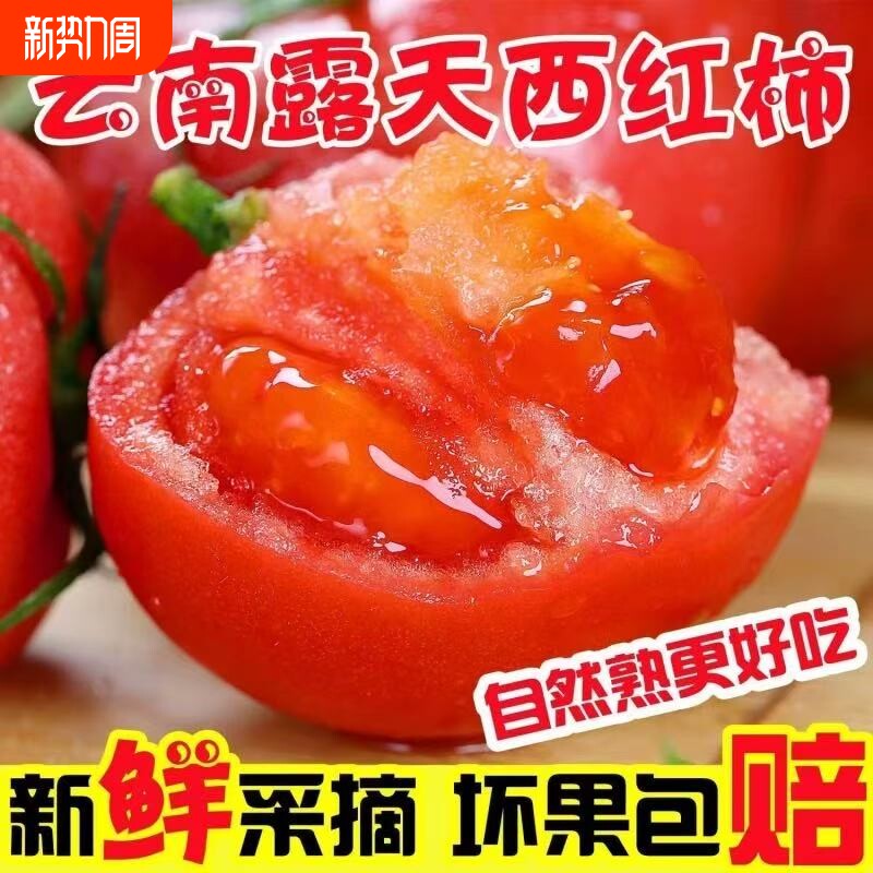 云南西红柿粉水果粉番茄正宗老品种沙瓤露天新鲜拒绝催熟自然熟