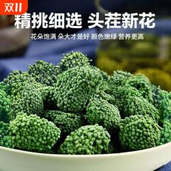 正宗云南文山三七花茶的功效与作用野生特级中药材正品官方旗舰店