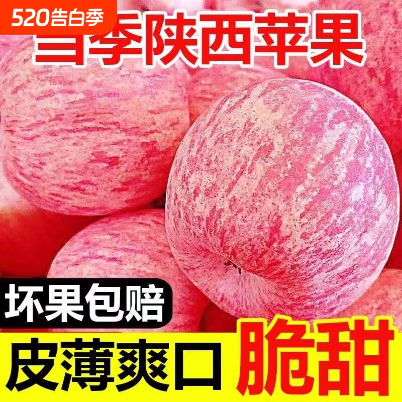 正宗高原红富士脆甜丑苹果整箱当季应季新鲜洛川水果批发价