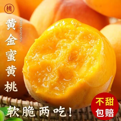 正宗蒙阴黄桃山东黄金桃新鲜水果毛桃软硬当季鲜甜锦绣黄桃现摘