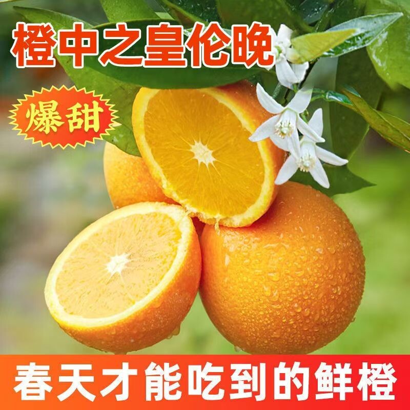 秭归伦晚脐橙子湖北手剥橙果冻整箱橙子水果新鲜应当季时令优选