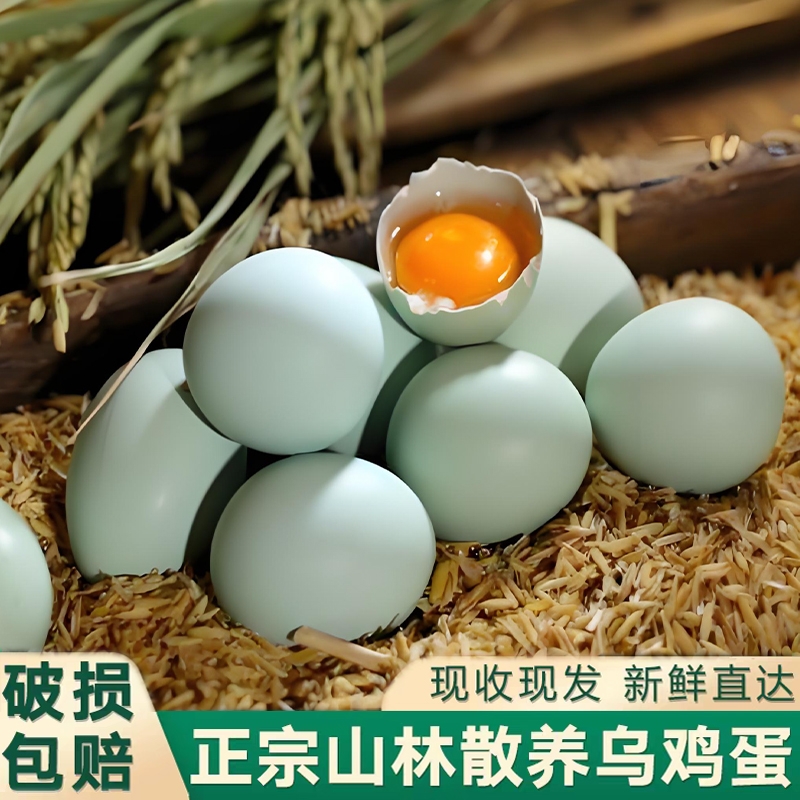 农场直发新鲜现捡绿壳乌鸡蛋营养翻倍鲜鸡蛋草鸡蛋笨鸡蛋柴鸡蛋