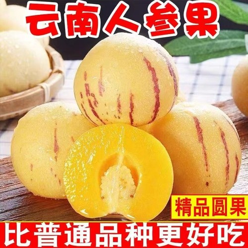 新鲜水果石林人参果人参果低糖