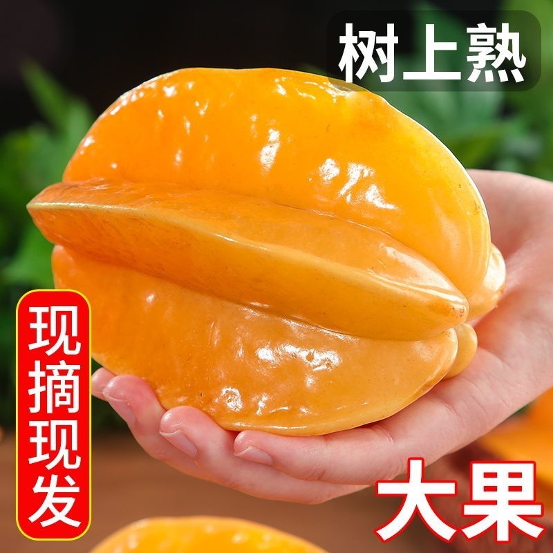 五斤【现摘现发】甜杨桃水果新鲜批发降火水果应季水果