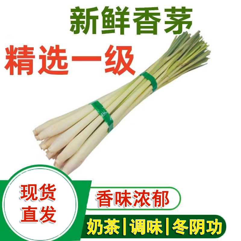 香茅草新鲜柠檬草泰式冬阴功汤料奶茶店食用香料泰国料理香矛原料