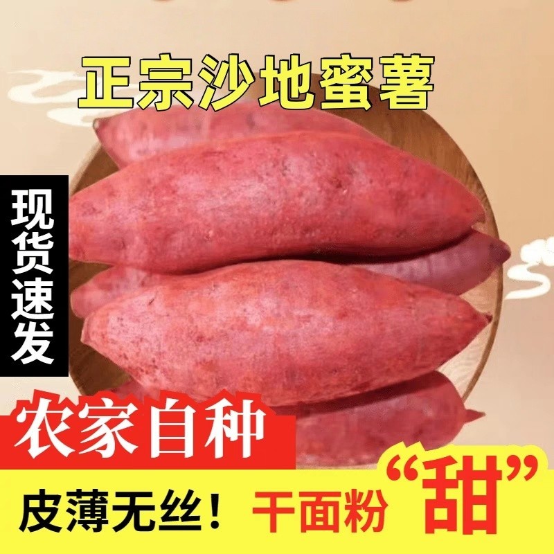 新鲜蜜薯板栗红薯沙地糖心地瓜农家自种番薯现挖烟薯香薯山芋
