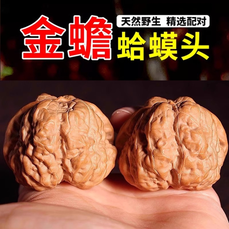 开背蛤蟆头文玩核桃矮桩闷尖延庆金蟾手玩收藏级男女呱呱三棱野生