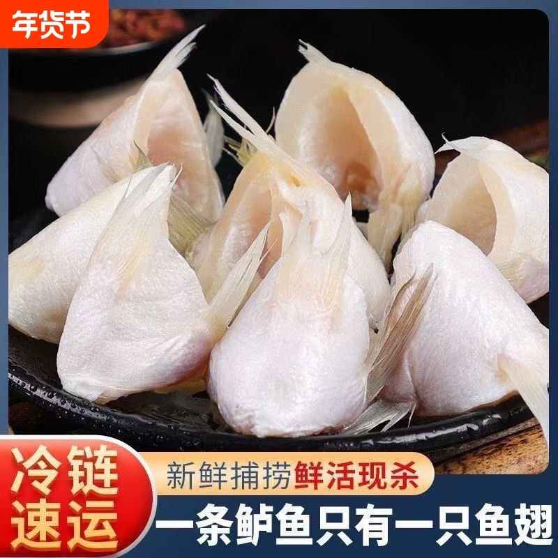 新鲜冷冻鲈鱼红烧油炸鱼剁椒食材海鲜产品批发生鲜海鲜鲈鱼翅鱼鳍,水产肉类/新鲜蔬果/熟食,鲈鱼,淘宝优惠券,粉丝福利购,淘宝优惠卷