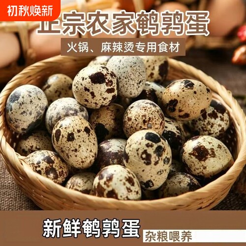 生鹌鹑蛋农家新鲜自产散养营养辅食口感丰富细腻泡沫防震发货
