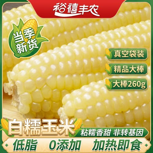 东北白糯玉米正宗粘玉米粗粮玉米新鲜糯玉米大棒真空装头茬新玉米