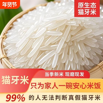 正宗长粒猫牙香米蛋炒饭2024年新米山泉水米长粒香米丝苗米煲仔饭