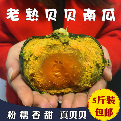 贝贝南瓜5斤板栗味小南瓜宝宝
