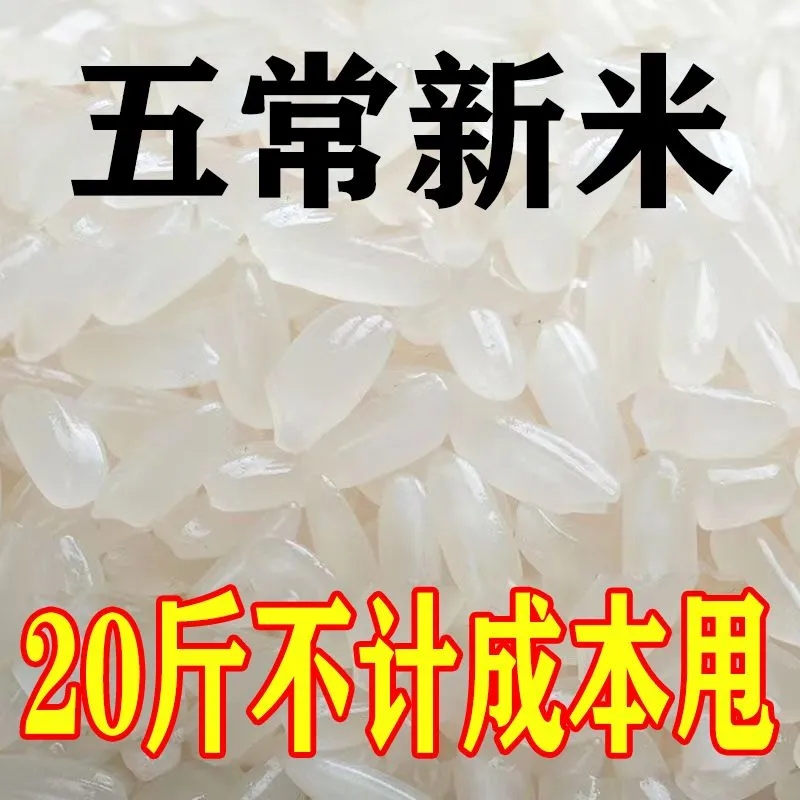 【新米】正宗五常大米长粒米10斤20斤厂家热销精选东北大米批发