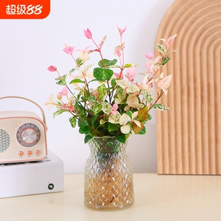 花叶络石水培彩叶植物办公室好养绿植四季常青阳台盆栽室内客厅