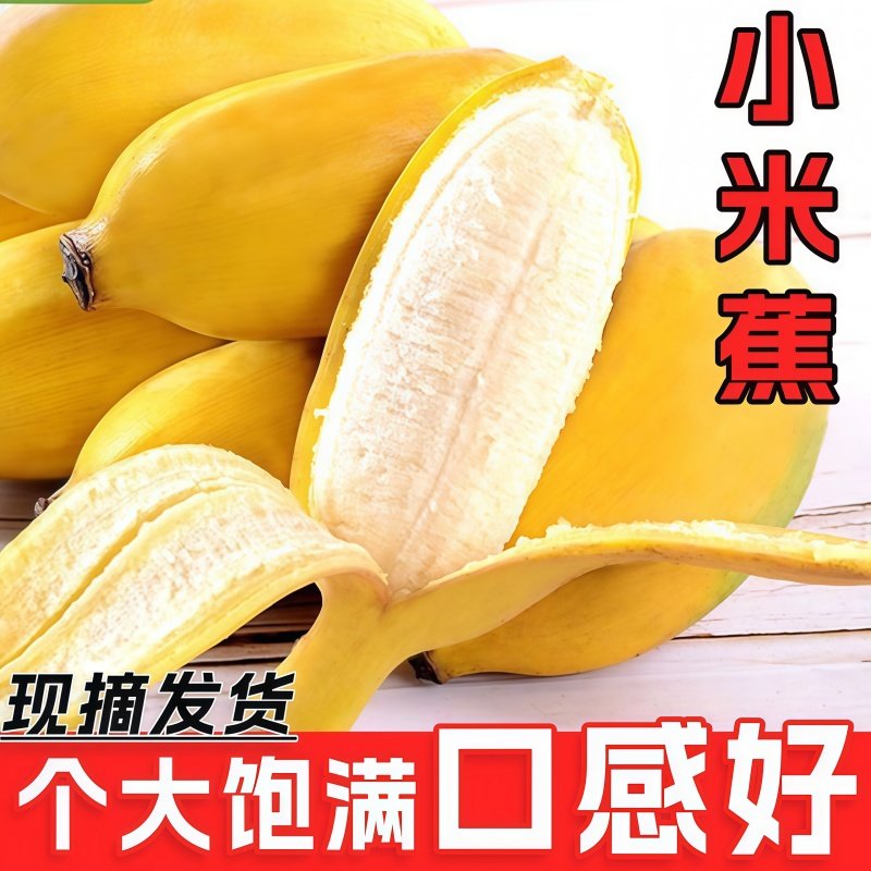 正宗广西小米蕉香蕉新鲜水果整箱斤当季小香蕉粉蕉自然熟苹果蕉,水产肉类/新鲜蔬果/熟食,香蕉,淘宝优惠券,粉丝福利购,淘宝优惠卷