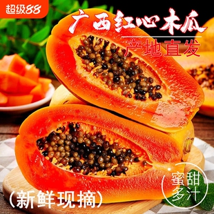 广西红心牛奶木瓜新鲜水果当季整箱树上熟孕妇下奶冰糖心雷州木瓜