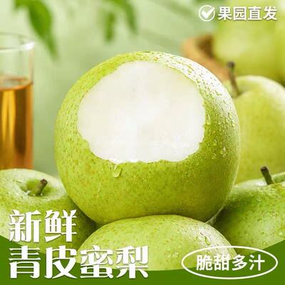 青皮梨新鲜蜜梨当季采摘直达脆甜多汁精选佳品整箱包邮现摘