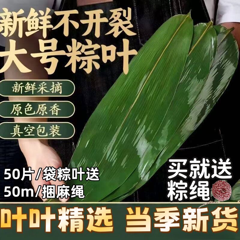 粽叶新鲜粽子叶大号宽棕叶包粽子专用的叶子特大批发野生糯米真空图片