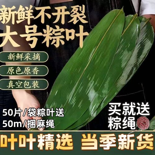 粽叶新鲜粽子叶大号宽棕叶包粽子专用的叶子特大批发野生糯米真空