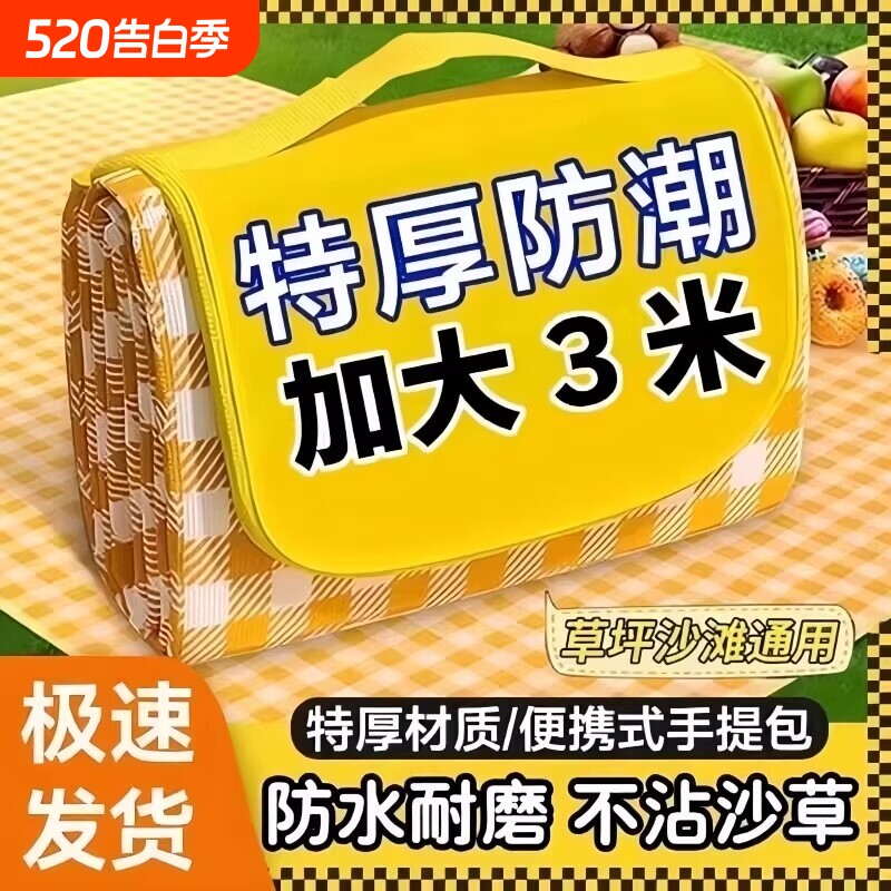 野餐垫防潮垫户外野炊野营大草坪防水加厚公园春游便携布聚餐坐垫