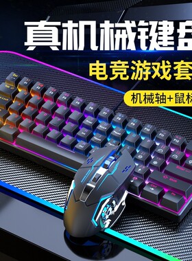 真机械键盘鼠标套装有线游戏电竞专用办公男女台式电脑笔记本鼠键