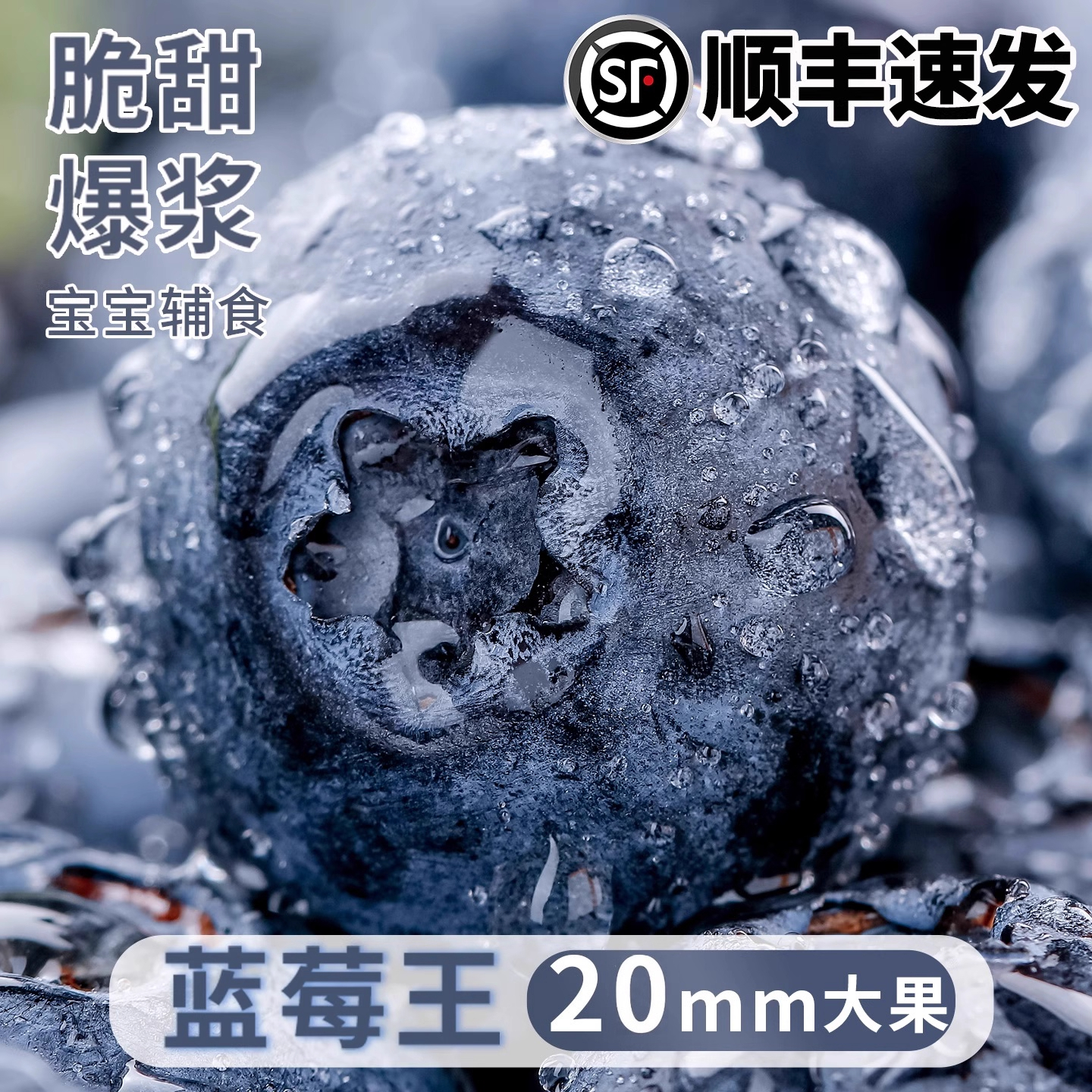 云南甜蓝莓王I当天发货I顺丰包邮