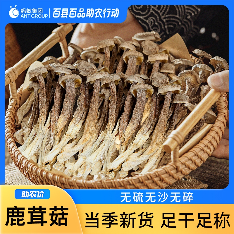 云南当季新货鹿茸菇干货500g