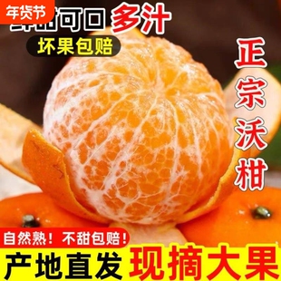 正宗广西武鸣区沃柑新鲜采摘应当季水果整箱包邮甜蜜多汁桔子橘子
