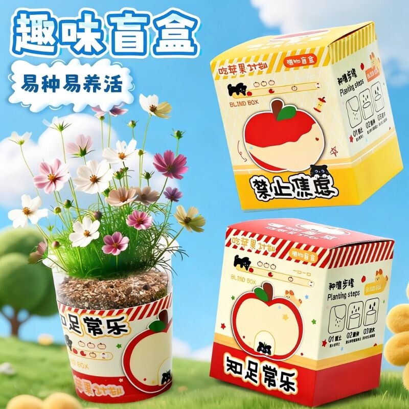 种植盲盒植物观察科学创意礼物学生迷你盆栽桌面摆件新人朋友同事