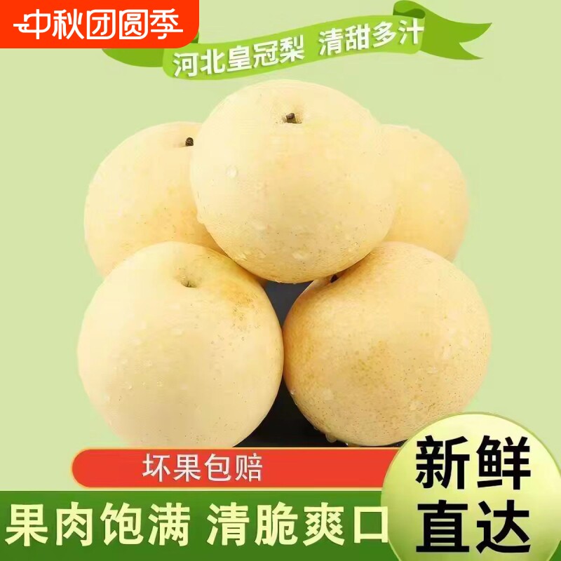 河北皇冠梨赵县白皮雪梨应季水果冰糖梨子新鲜整箱包邮当季脆甜图片