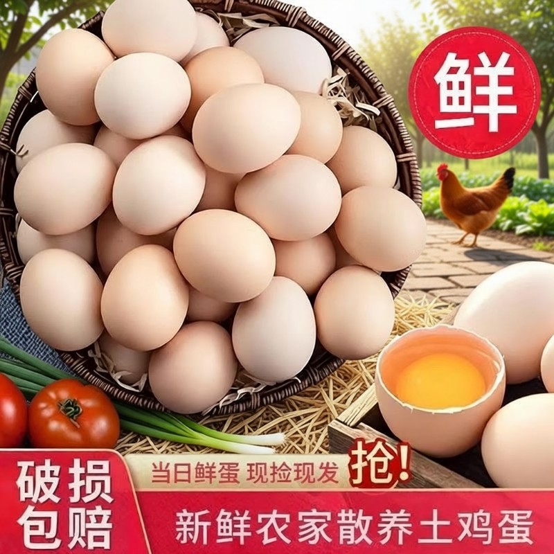 正宗农家散养土鸡蛋柴鸡蛋五谷草鸡蛋孕妇月子蛋儿童营养辅食蛋