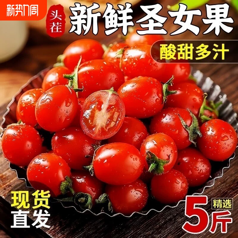 圣女果新鲜小番茄5斤批发价现摘鲜发应季爆汁番茄小柿子水果蔬菜