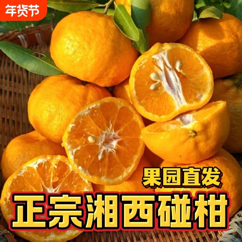 新鲜碰柑孕妇水果湘西碰柑产地直发柑橘橘子新鲜采摘碰柑当季水果,水产肉类/新鲜蔬果/熟食,桔子,淘宝优惠券,粉丝福利购,淘宝优惠卷