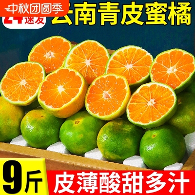 云南青皮蜜橘酸甜多汁
