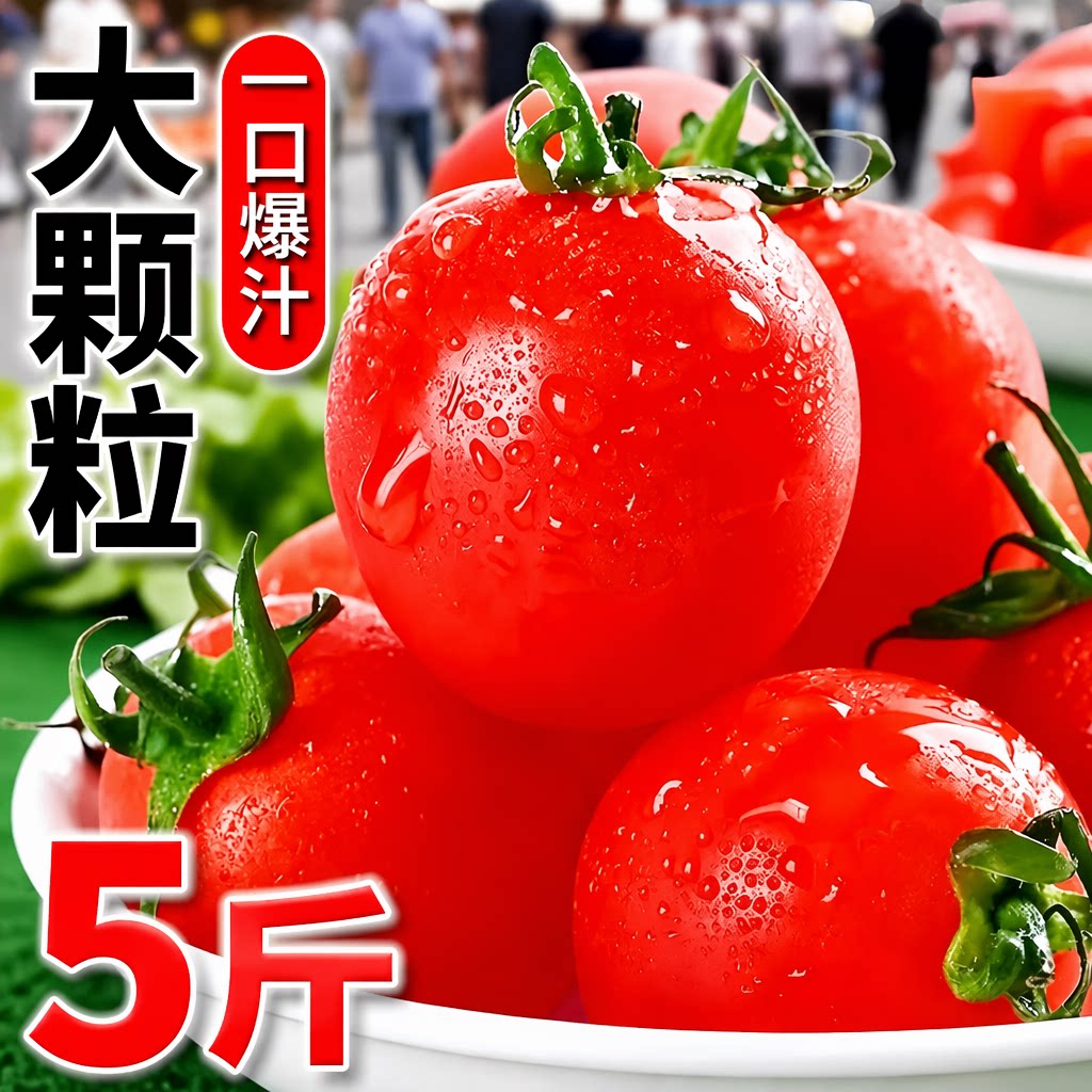 圣女果新鲜超甜小番茄时令水果一颗爆汁清甜皮薄自然熟现摘大颗图片