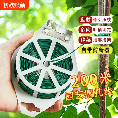艺扎带包塑铁丝月季植物固定