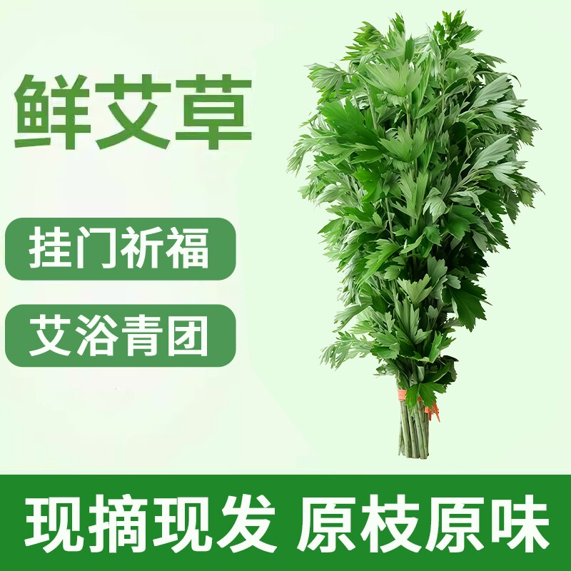 端午节新鲜艾草青艾整棵端午插门窗艾蒿泡澡儿童艾浴花材礼品花束