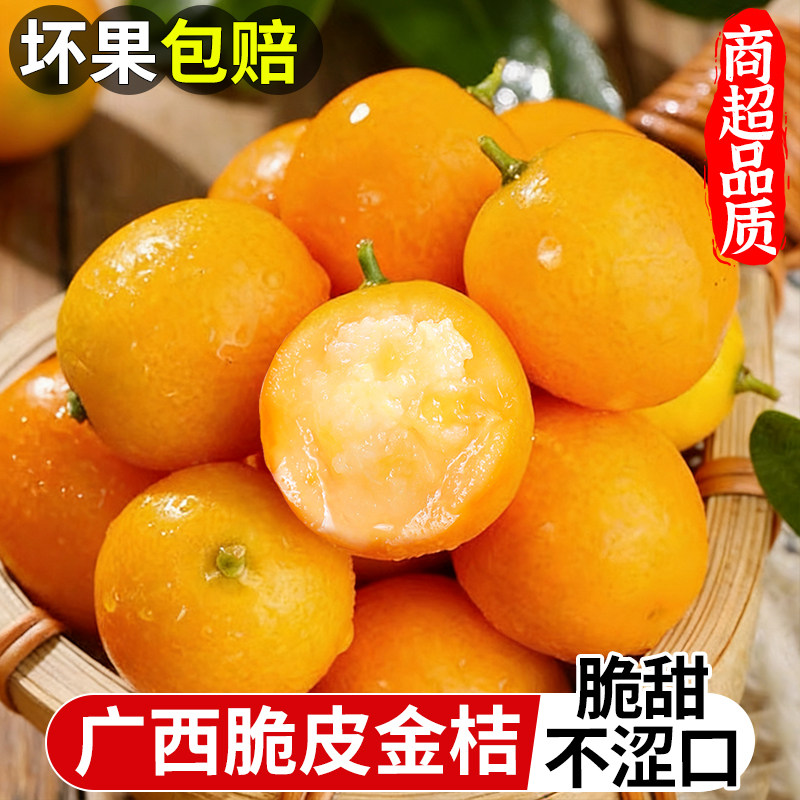 正宗广西脆皮金桔新鲜水果桔子当季现摘甜蜜小金柑桔金橘融安特产