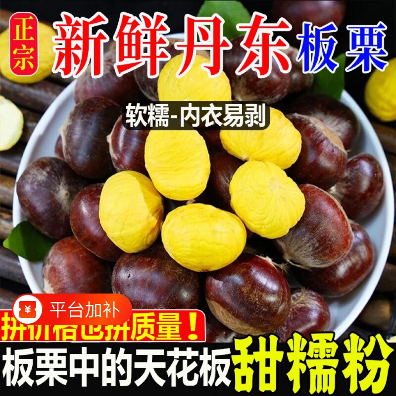 品质新鲜生现摘丹东板栗栗子锥油栗仁蔬罗田大板栗鲜板栗去壳一颗