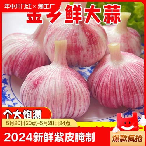 2024新鲜大蒜头紫皮湿蒜大祘腌制山东金乡现挖新蒜嫩蒜红生蒜