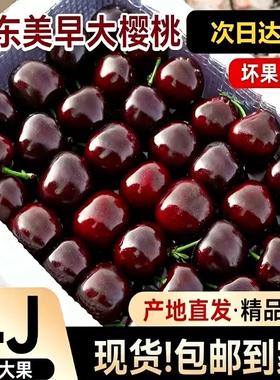 山东美早樱桃新鲜现摘应当季时令鲜果5J装国产孕妇车厘子整箱优选