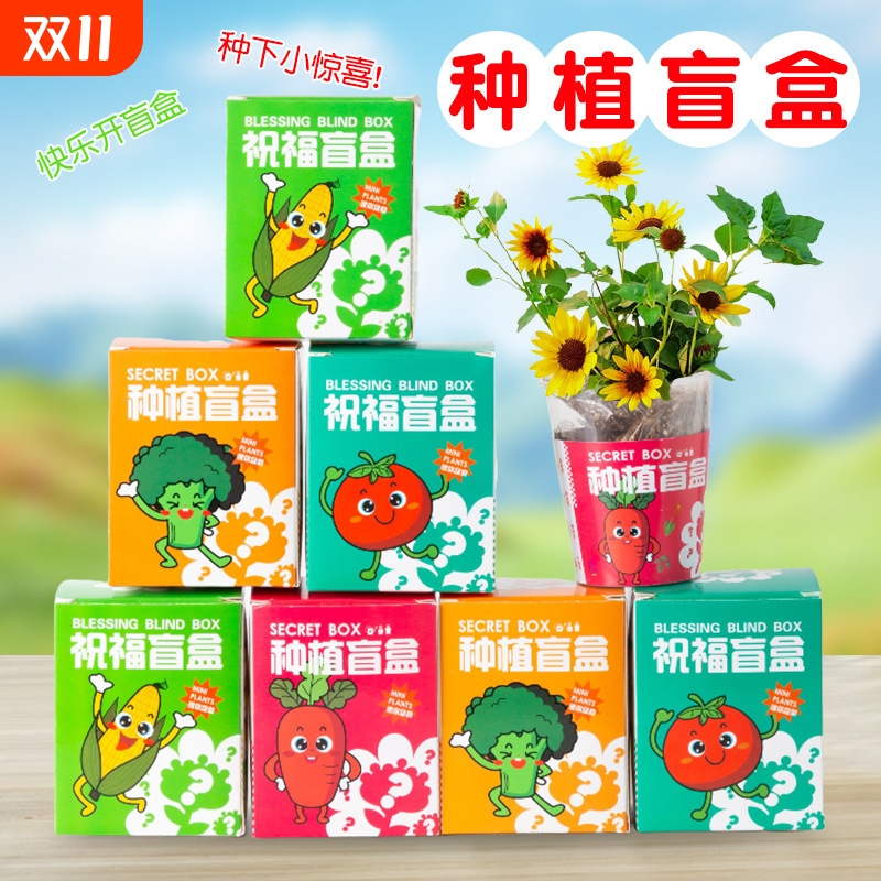 儿童植物盆栽种植盲盒