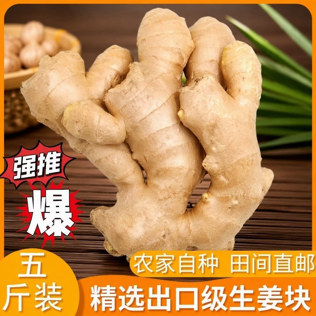 山东新鲜正宗风干姜大姜生姜老姜大黄姜月子姜批发农场当季自种