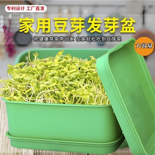 蔬菜罐育苗盆种植发芽盆免换水豆芽机发豆芽专用盆神器黄绿豆芽罐