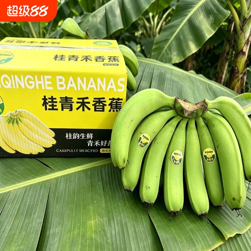 高山香蕉新鲜威廉斯香蕉当季新鲜水果薄皮自然熟整箱批发包邮 - 实物图