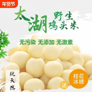 2025年鸡头米新鲜苏州特产芡实欠茨实正宗太湖大颗粒苏芡冷冻食材
