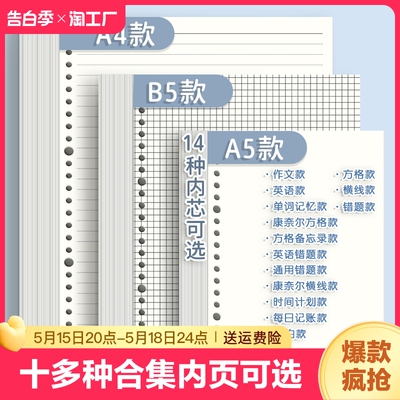 20孔26孔活页替芯笔记本替芯纸b5