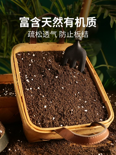 Питательный цветок