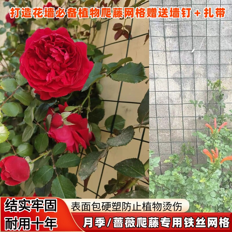 月季爬藤专用铁丝网格植物攀爬户外神器可定型花架防烫防锈爬藤架图片
