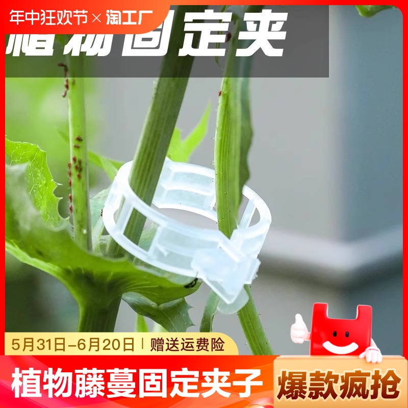 植物夹瓜果绑蔓夹绑枝夹固定夹